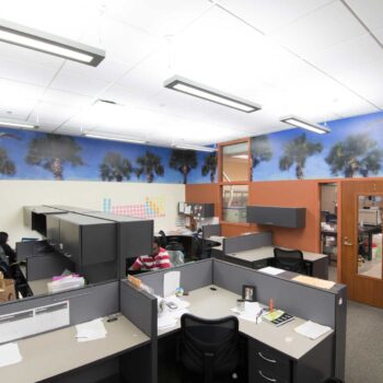 Alicia Leeke Mural Installation